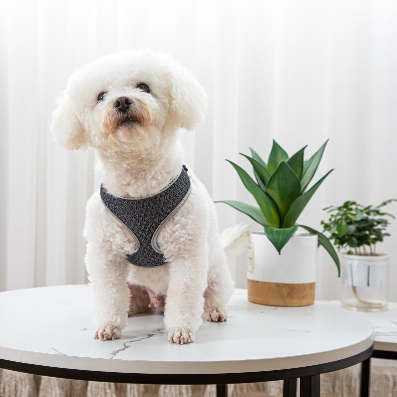 Vest-Style Dog Walking Harness Leash
