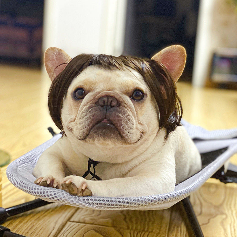 Dog Headdress And Wig Sheath