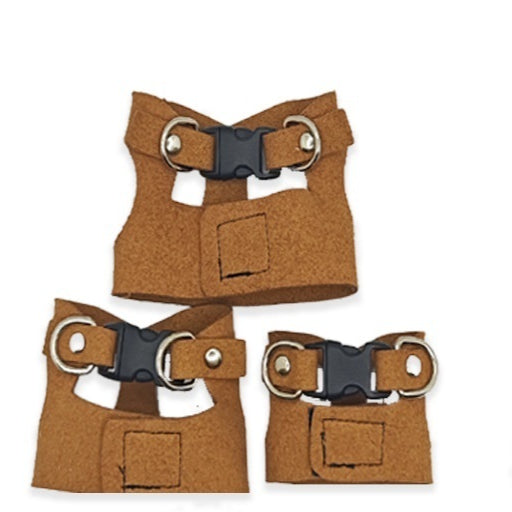 Lizard Chameleon Squirrel Pet Outdoor Chest And Harness