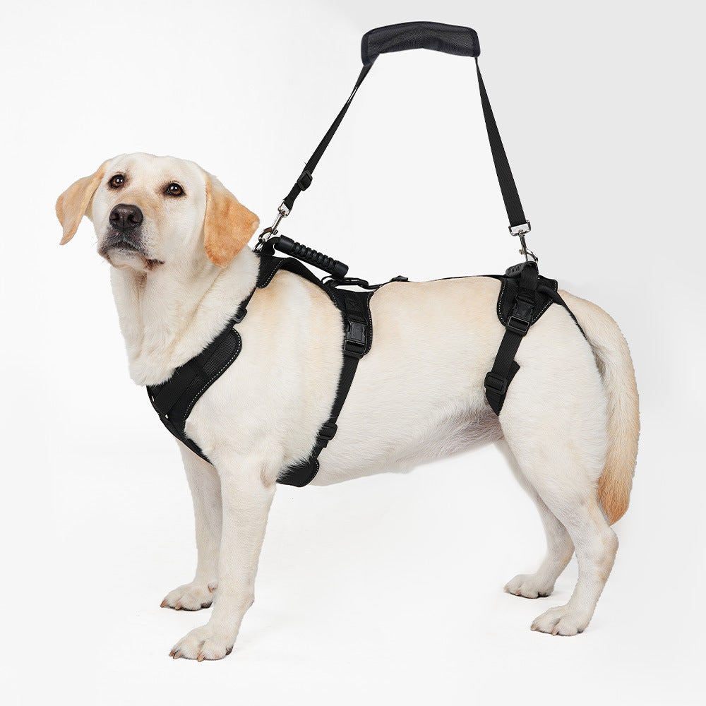 Reflective Adjustable Pet Support Strap