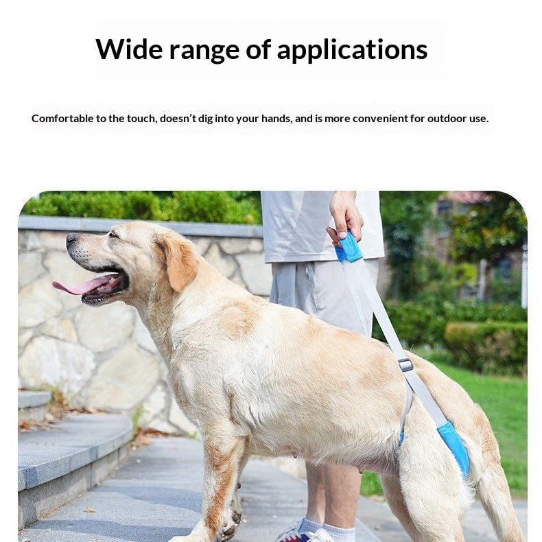 Posterior Limb Assistive Strap For Elderly Disabled Pets