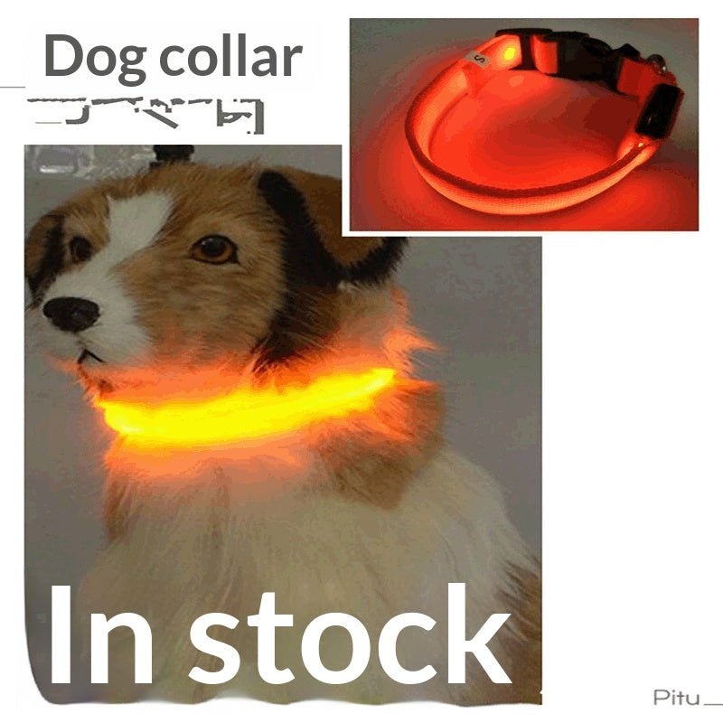 USB-Charging Glow-in-the-Dark Dog Collar