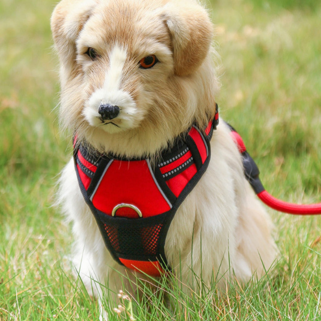 Reflective Pet Walking Harness