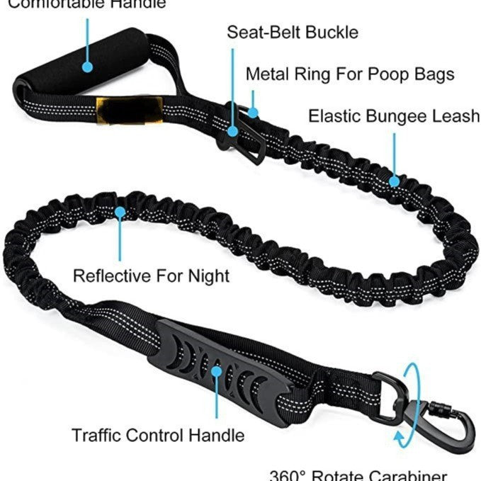 Reflective Dog Leash and Harness