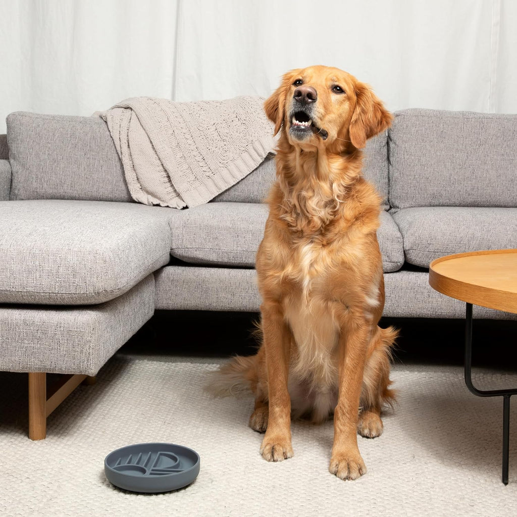 The Slowdown Bowl Silicone Slow Feeder For Dogs Puppies Slow Eating Modern Lick Mat Design Reduces Gulping Dishwasher Fit For All Breed Meal