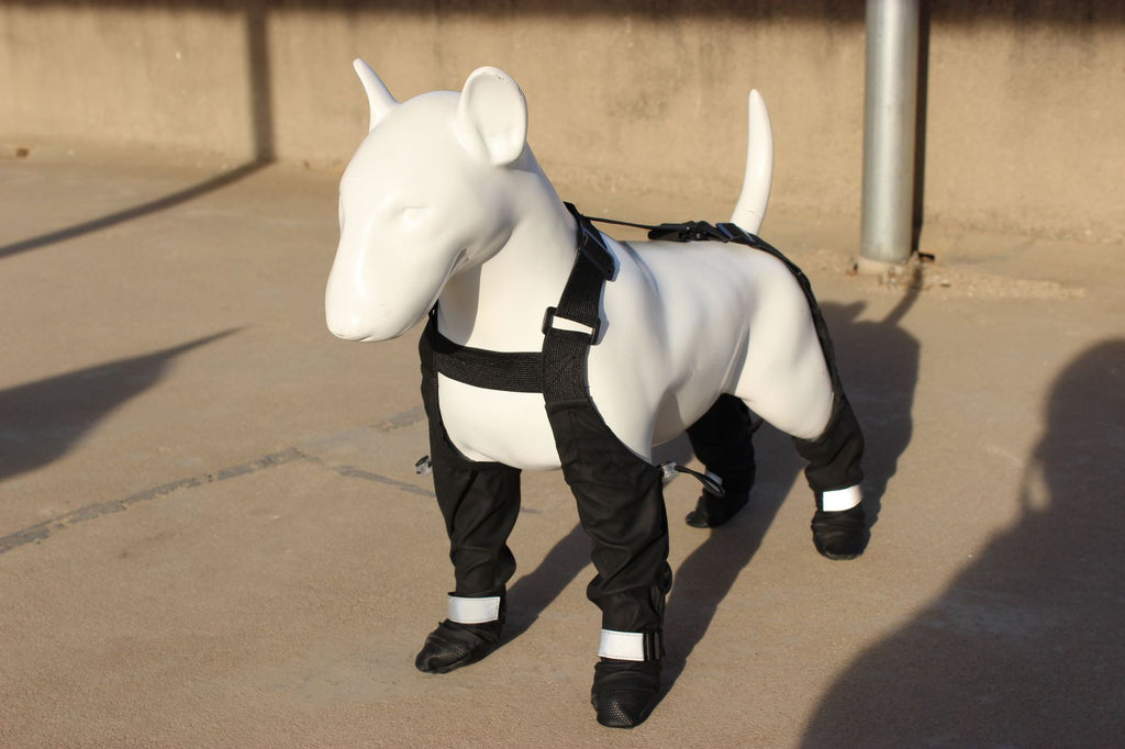 Waterproof Non-Slip Dog Shoes With Strap