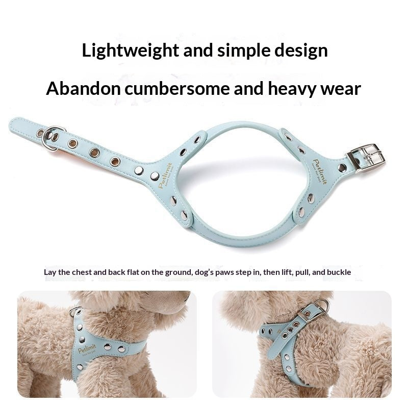 Leather Chest Harness and Leash for Small Dogs