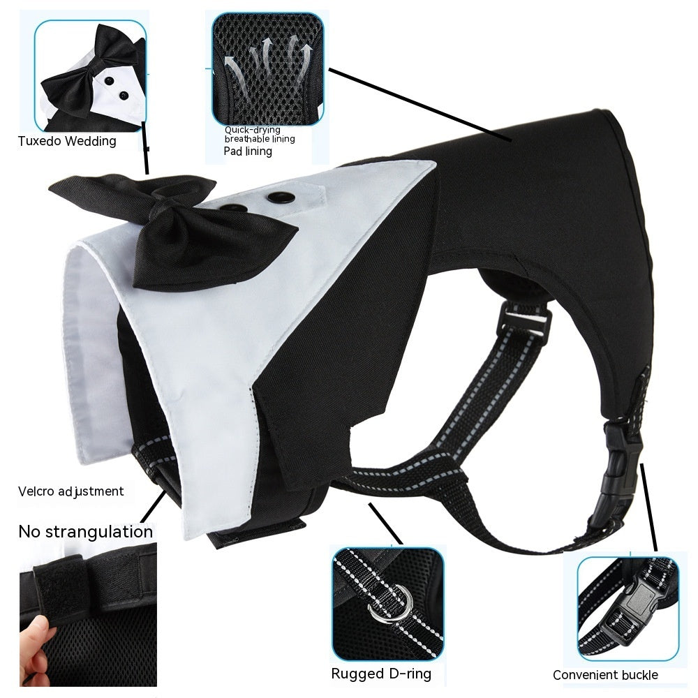 Integrated Chest Strap Harness With Hand Rope