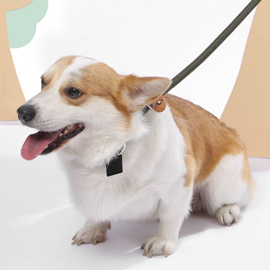 Large, Medium And Small Dogs Explosion-Proof Hand Holding Rope