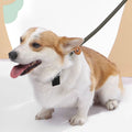 Large, Medium And Small Dogs Explosion-Proof Hand Holding Rope