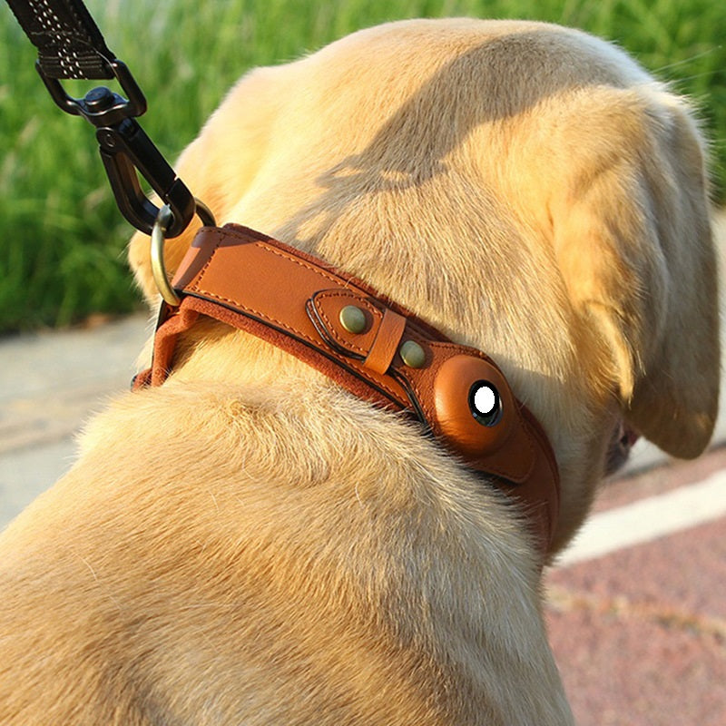 Leather Dog Collar for Location Tracker