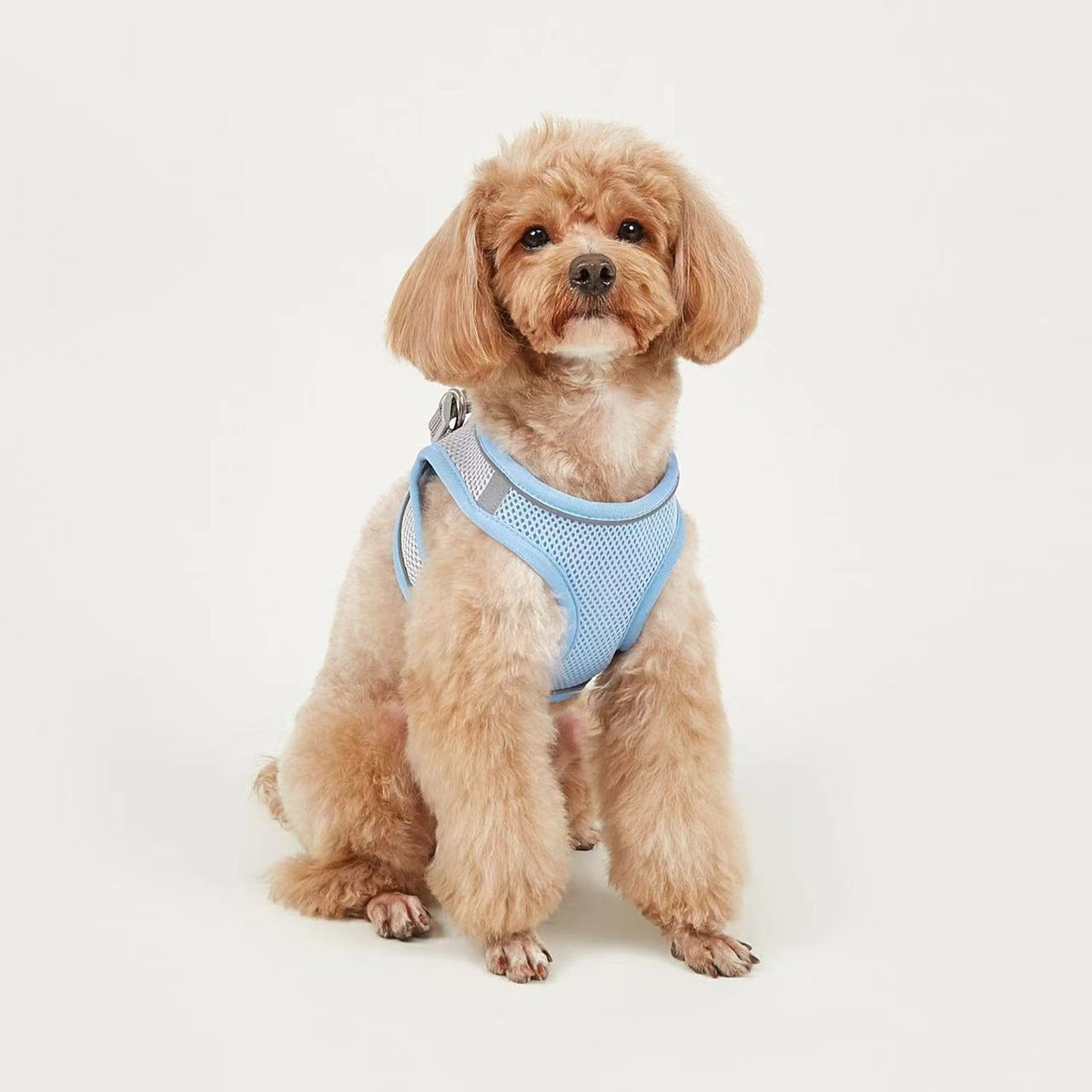 Breathable Small Dog Harness Leash
