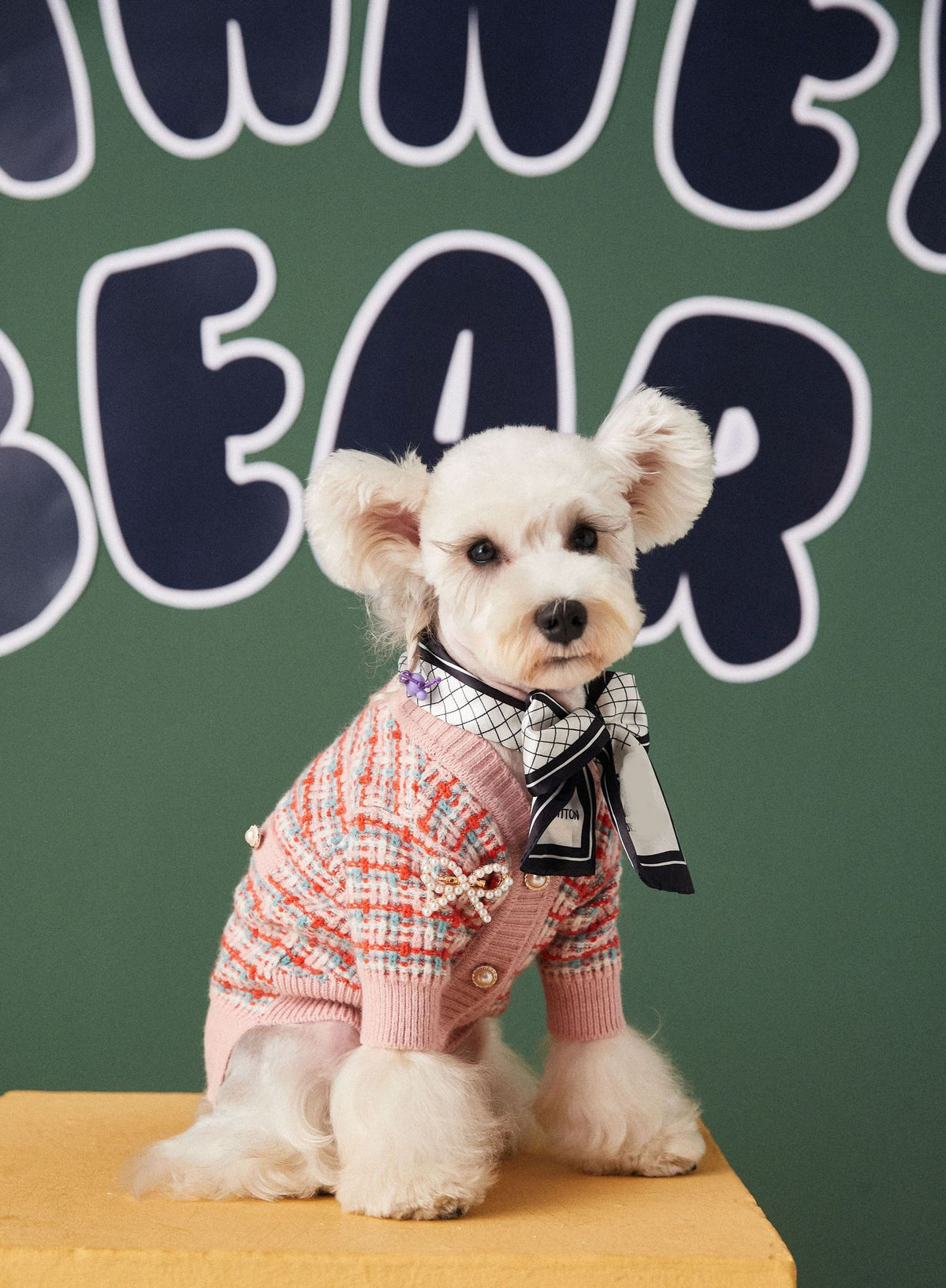 Teddy Fadou New Pet Small Fragrance Sweater Cardigan