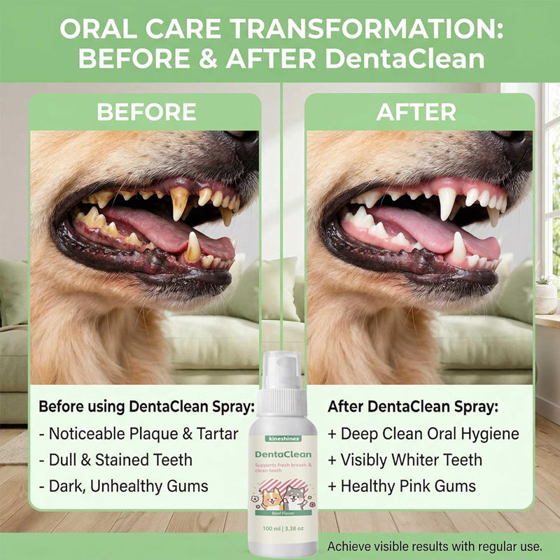 Portable, Home-Use Pet Dental Freshenerno Brushing Required