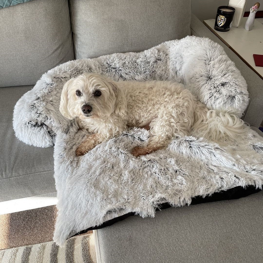 Everyday Rest Dog Bed