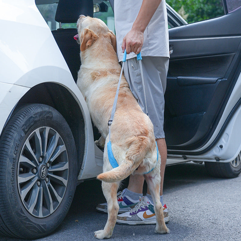Posterior Limb Assistive Strap For Elderly Disabled Pets