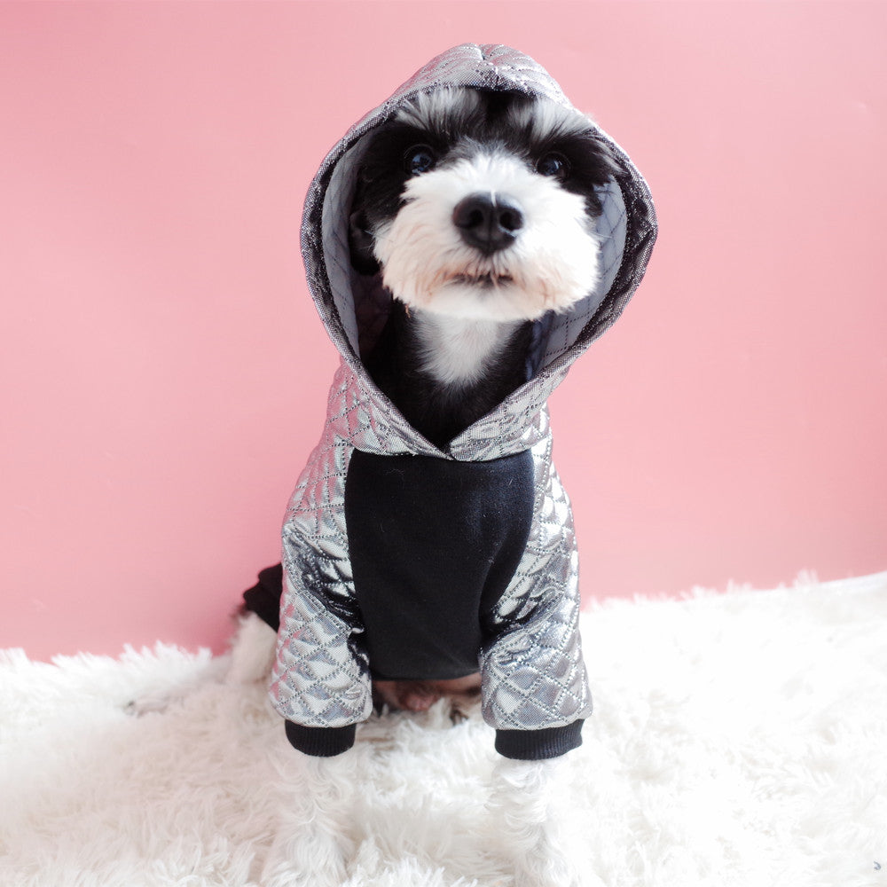 Fat Dog Elastic Clothes, Law Fighting Clothes