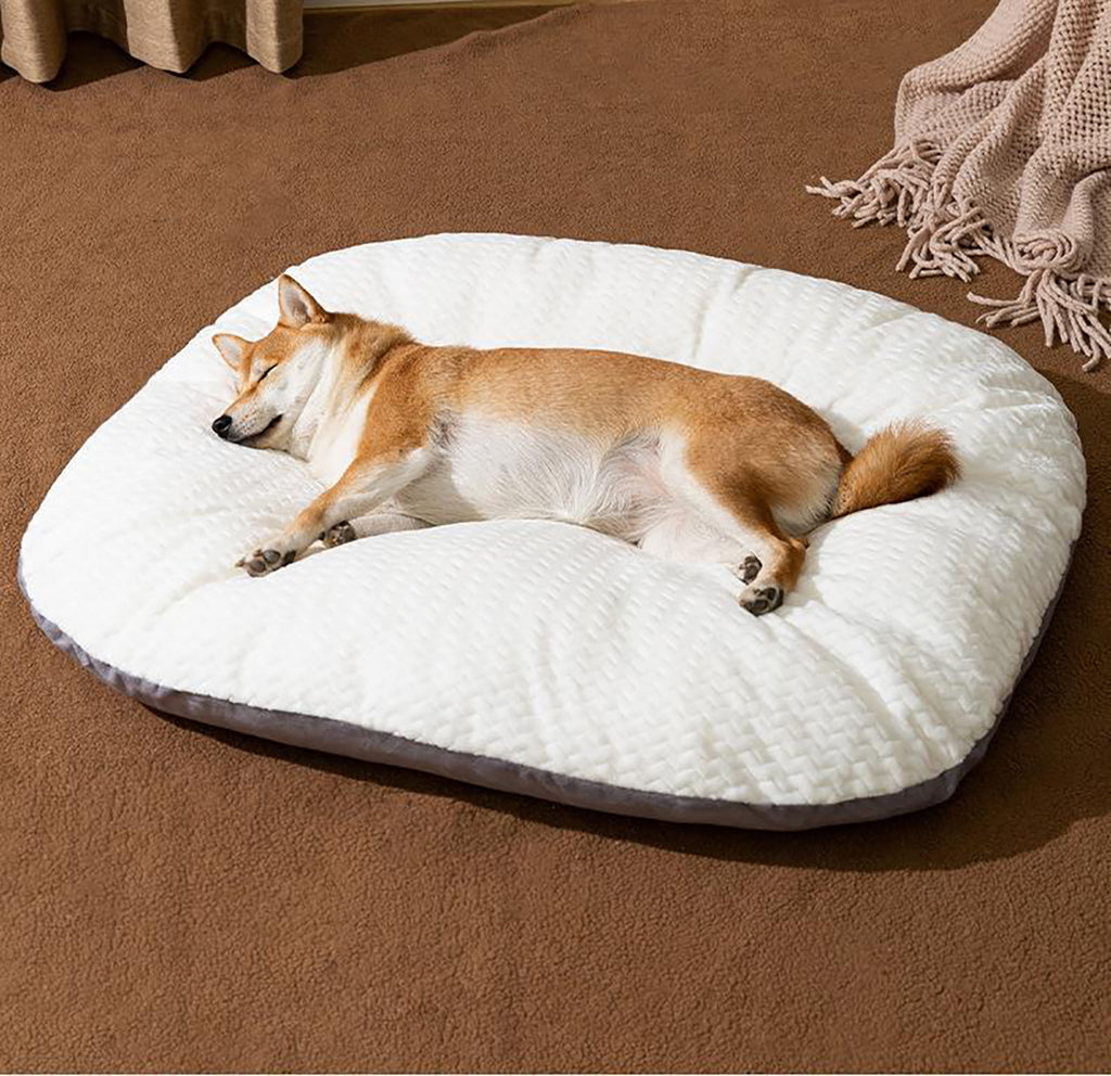 Oval Washable Dog Bed for Large Dogs