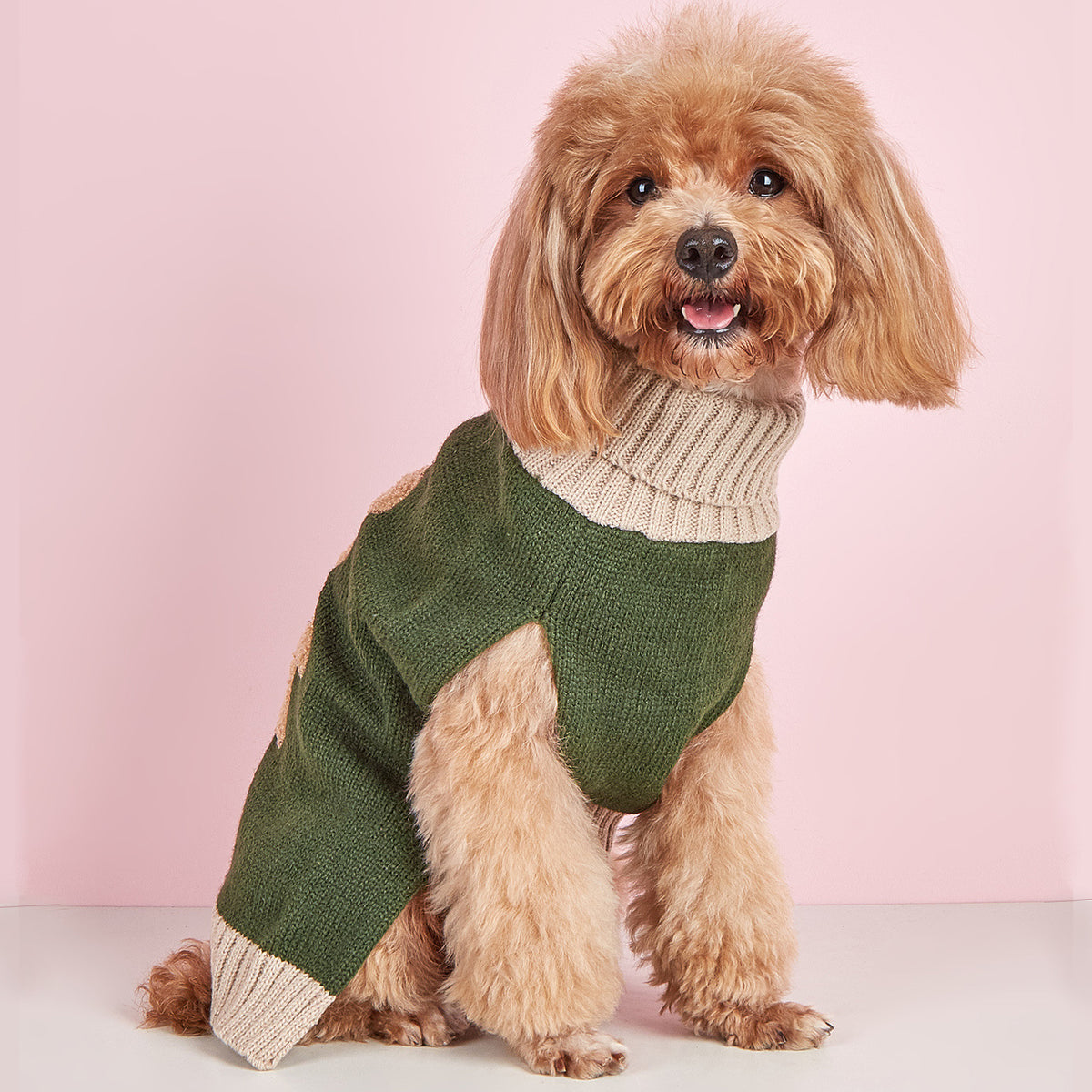 Army Green Bear Dog Sweater