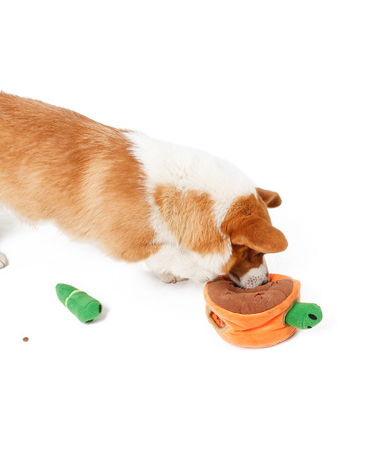 Bite-Resistant Molars For Walking The Dog Indoors