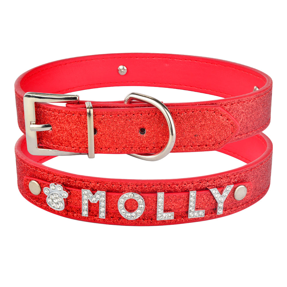 DIY Alphabet Dog Collar Accessory