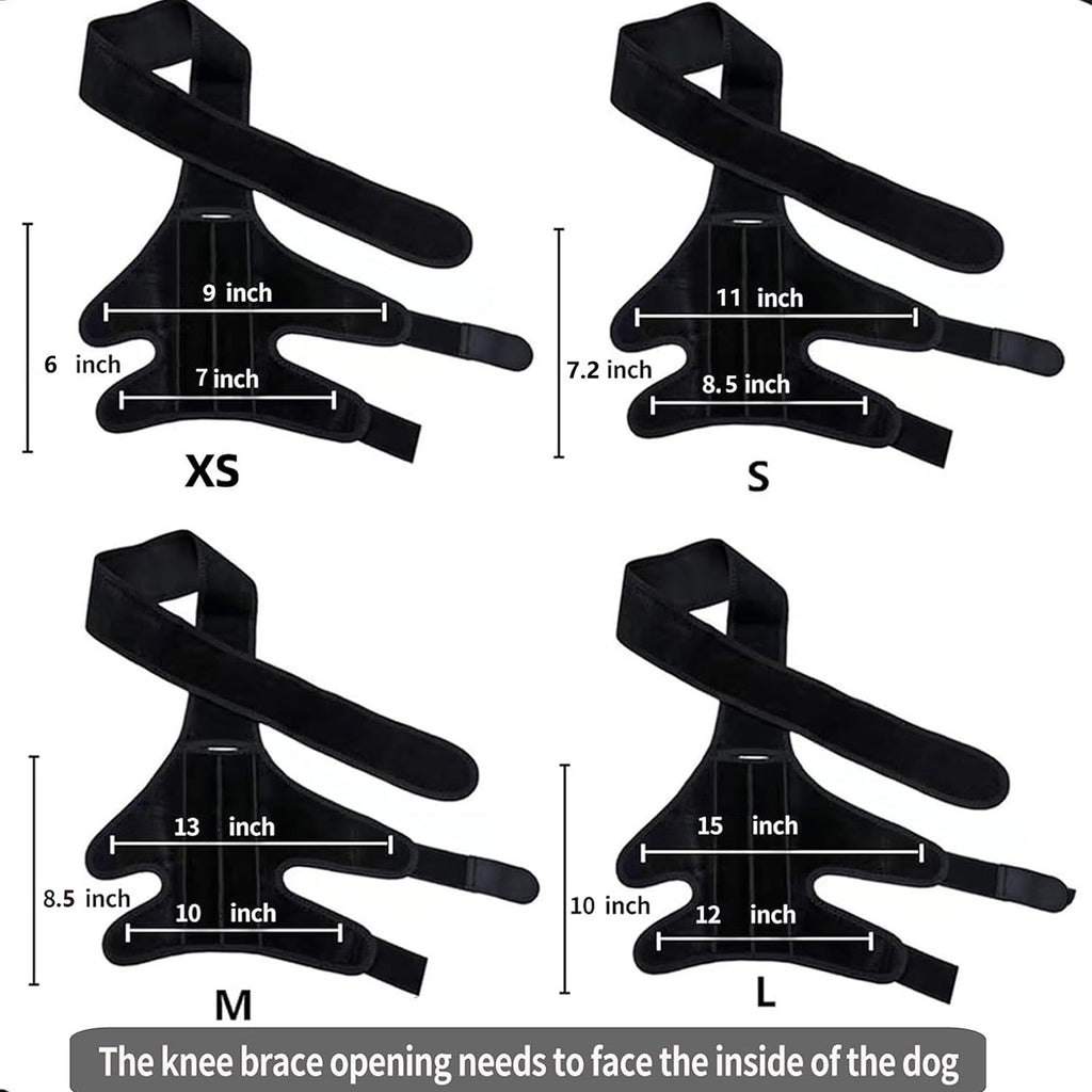 Dog Leg Injury Support Training Belt