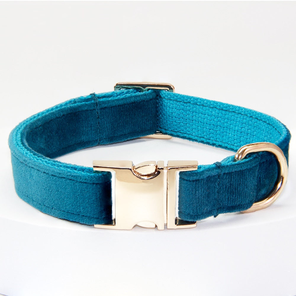 Engraved Anti-Loss Dog Collar And Leash