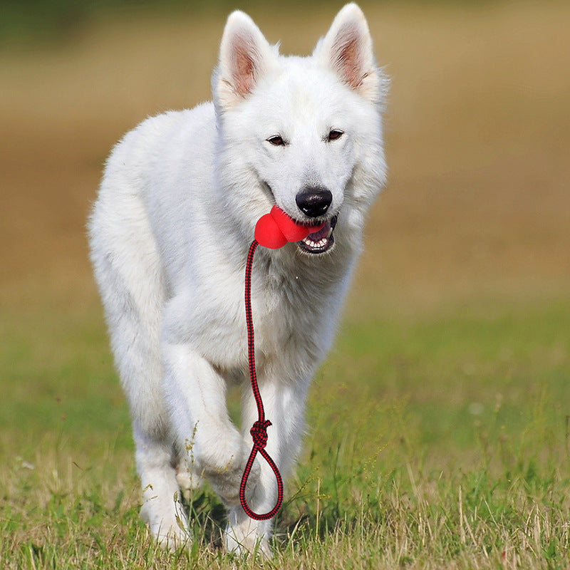 Natural Rubber Rope Pet Toy
