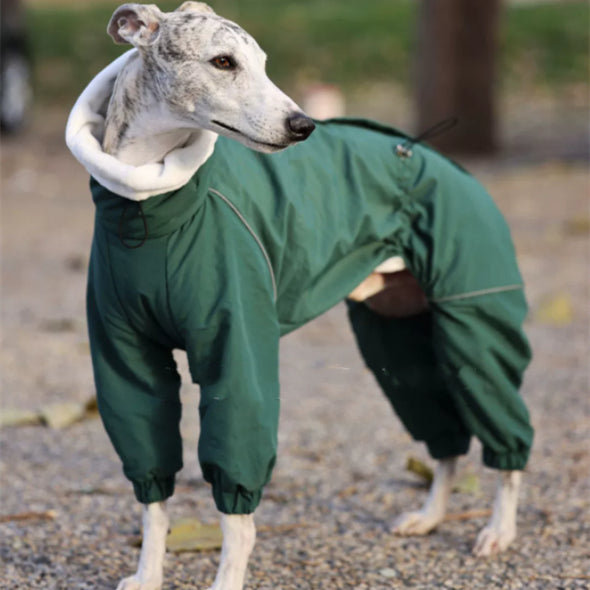 Zippered Cotton-Padded Pet Windbreaker Hoodie Jacket
