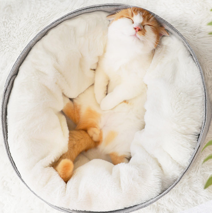 Detachable Pet Bed with Size Options