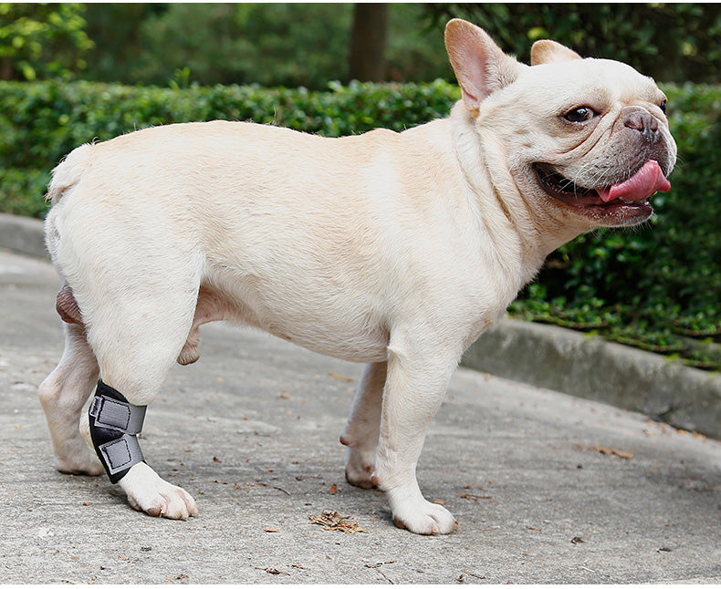 Fixed Recovery Dogleg Cover
