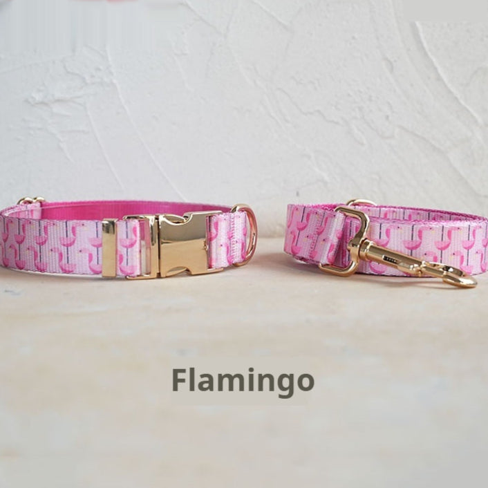Self-Designed Soft Dog Collar Leash Set