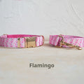 Self-Designed Soft Dog Collar Leash Set