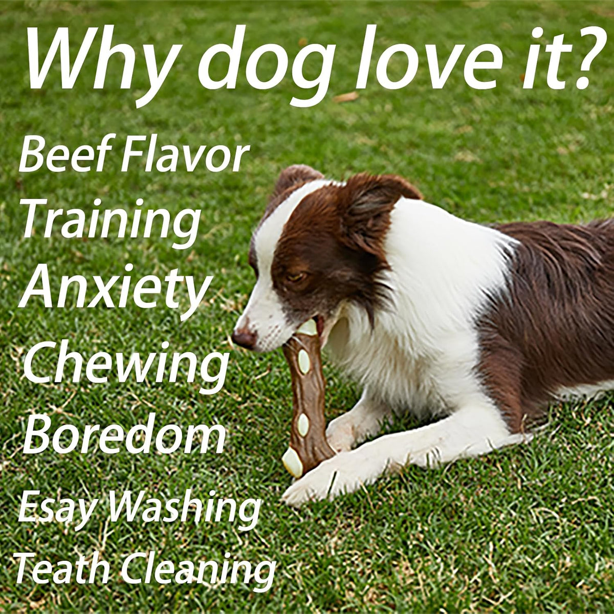 Dog Bones Chew Toys For Aggressive Chewers Real Beef Flavor Indestructible Dog Teething Chew Toys For Large Medium Small Puppies Breed Tough