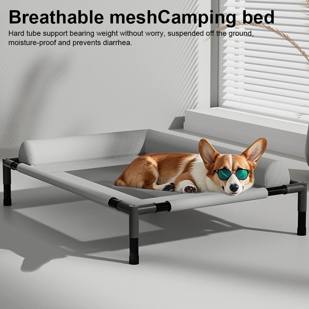 Orthopaedic Elevated Pet Dog Bed Raised Bolster Sofa With Cushion 8366Cm Uk