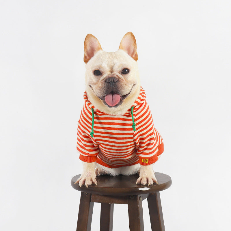 Thin Orange Hooded Pet Sweater