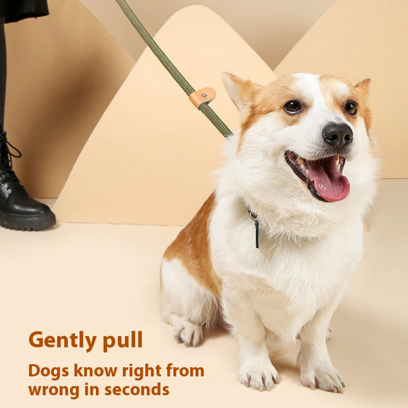 Dog Walking Training Hand Holding Rope