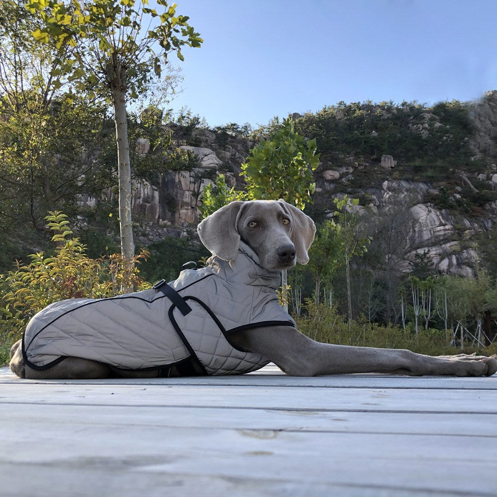 Full-Body Reflective Tactical Dog Jacket