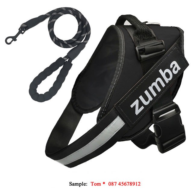 Personalized Reflective Adjustable Dog Harness And Leash Set