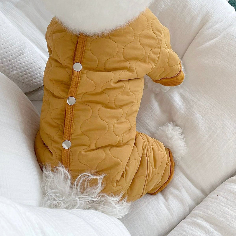 Teddy Thickened Bomei Clothes Than Bear