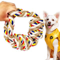 Chew-Resistant Braided Carrot Dog Toy