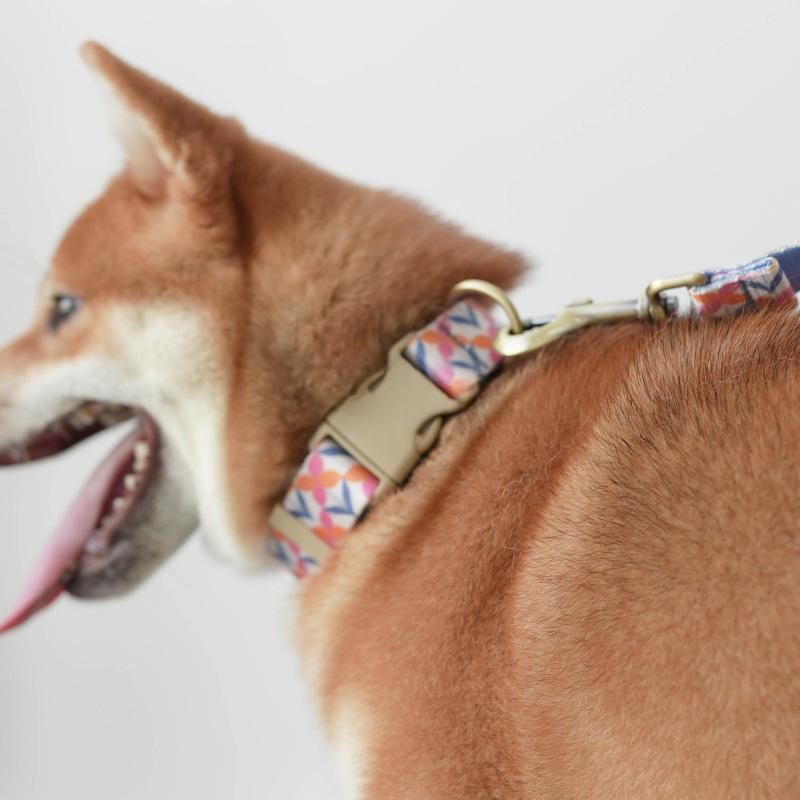 Outdoor Training Dog Collar with Leash