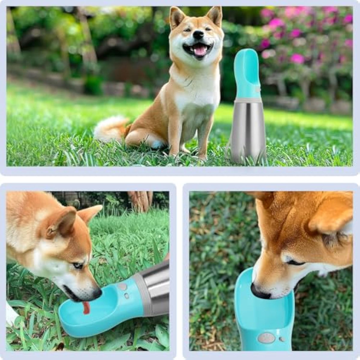 Portable Dog Water Bottle 700Ml Stainless Steel Leak Proof Puppy Water Dispenser With Drinking Feeder For Pets Travel Walking Hiking And Out
