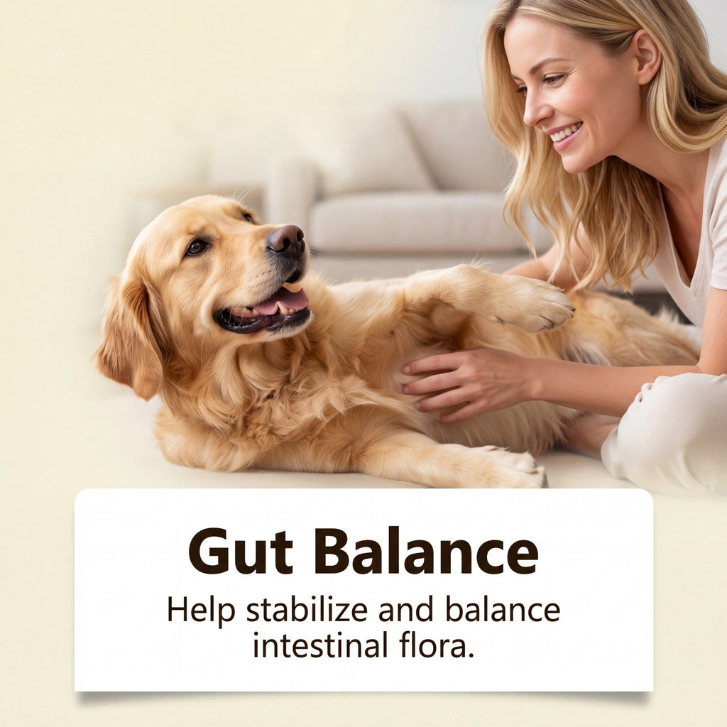 Soft Chewable Dog Care Tablets With Mild Ingredients