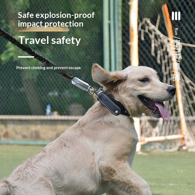Explosion-Proof Heavy-Duty Leash For Medium And Large Dogs