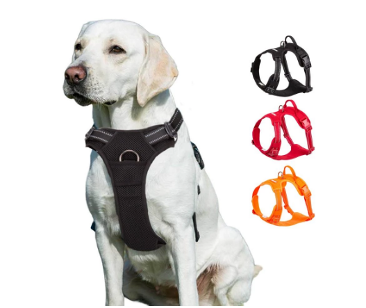 Teddy'S Fund Fur Vest-Style Chest Strap