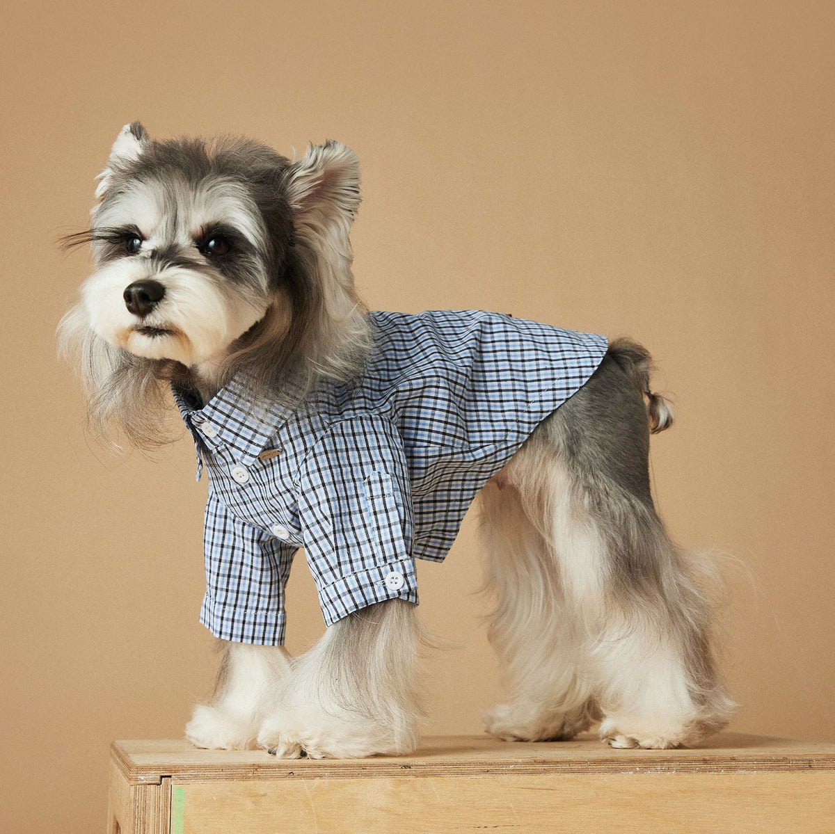 Light Blue Summer Plaid Dog Shirt