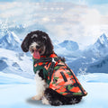 Winter Cashmere Dog Jacket