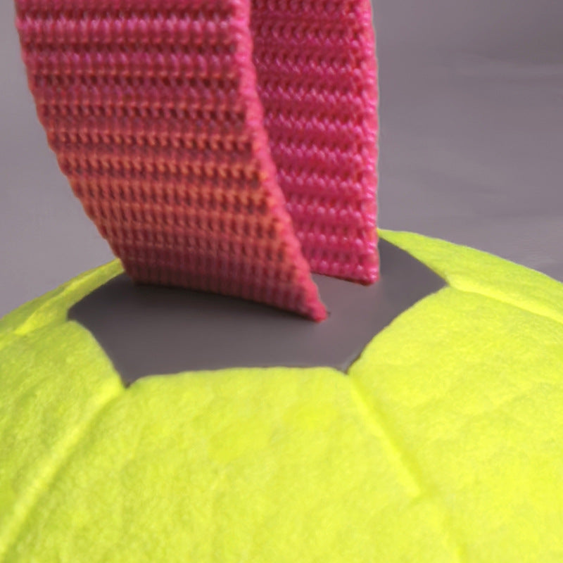 Durable Interactive Dog Toy Ball