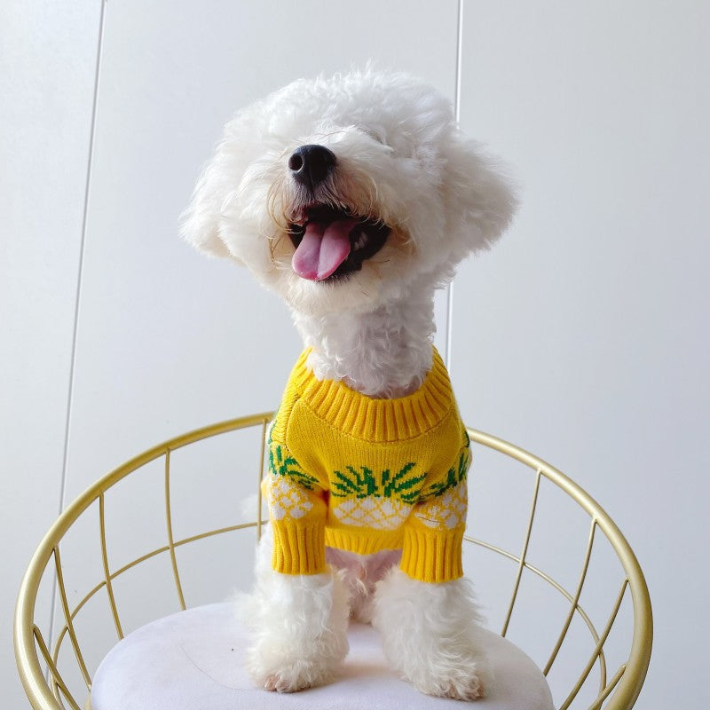 Cute Pineapple Print Christmas Pet Clothes